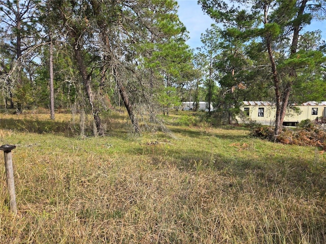 751 NE 131st Ave, Williston FL, 32696 land for sale