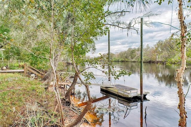 dock area with a water view