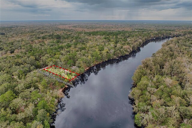 7890 SW 25th Pl, Bell, FL 32619 - aerial view of property and surrounding area featuring a heavily wooded area, a large body of water, and property boundaries highlighted