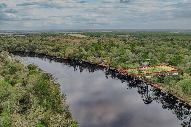 drone / aerial view featuring a view of trees and a water view