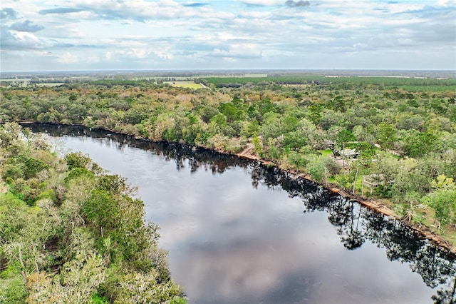 bird's eye view with a water view and a view of trees