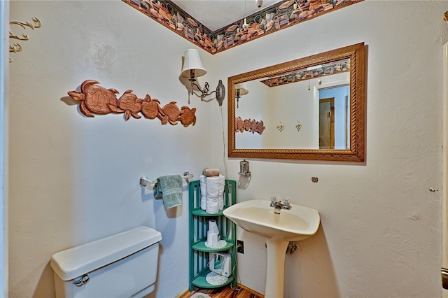 bathroom featuring toilet and a sink