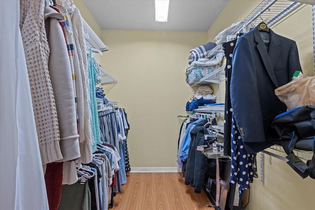 spacious closet with hardwood / wood-style floors