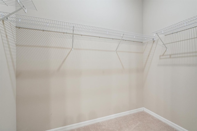 spacious closet with carpet