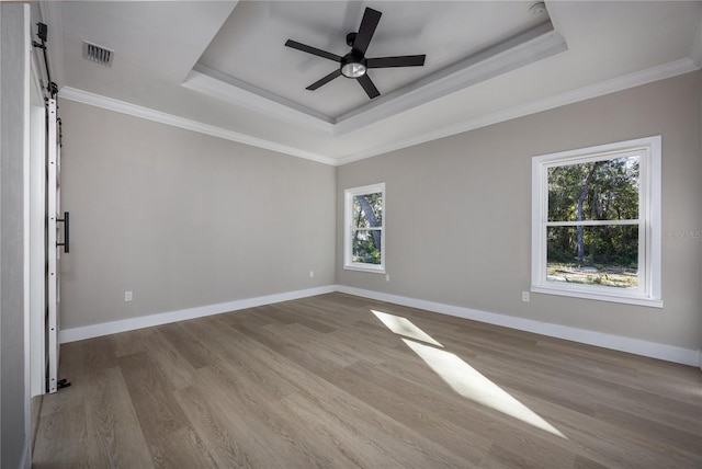 empty room featuring a tray ceiling, a wealth of natural light, and light hardwood / wood-style floors