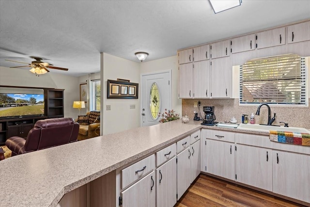 kitchen featuring sink, tasteful backsplash, hardwood / wood-style floors, and ceiling fan