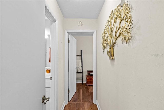 corridor with dark wood-type flooring