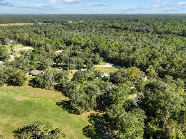 11190 NW 92nd Ct, Chiefland, FL 32626 - photo 53
