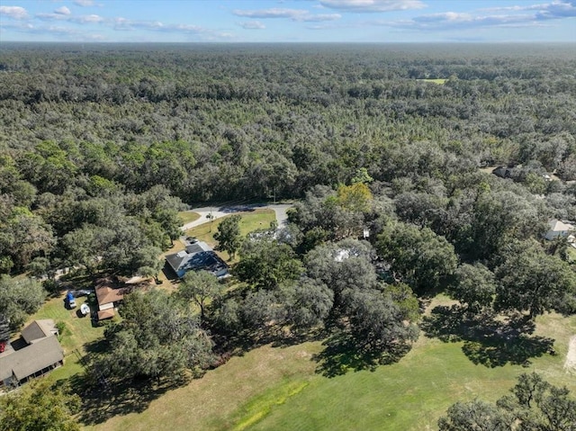 11190 NW 92nd Ct, Chiefland, FL 32626 - photo 54