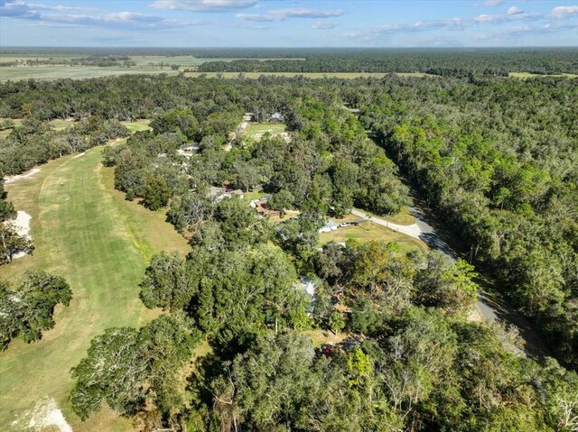 11190 NW 92nd Ct, Chiefland, FL 32626 - photo 58