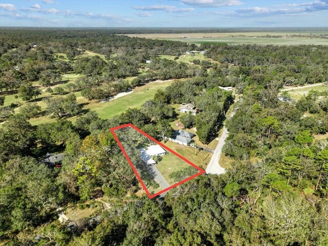 11190 NW 92nd Ct, Chiefland, FL 32626 - photo 61