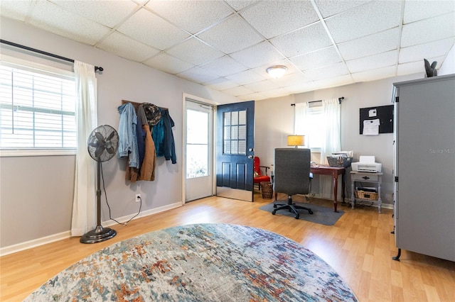 office area with a paneled ceiling, a wealth of natural light, and hardwood / wood-style floors