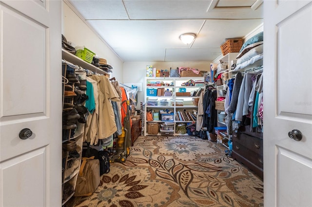 view of walk in closet