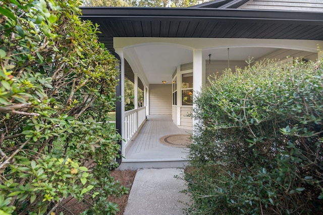 doorway to property featuring covered porch