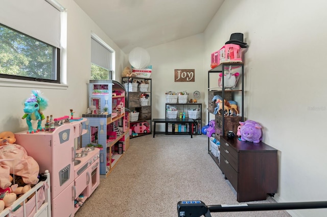 playroom featuring vaulted ceiling