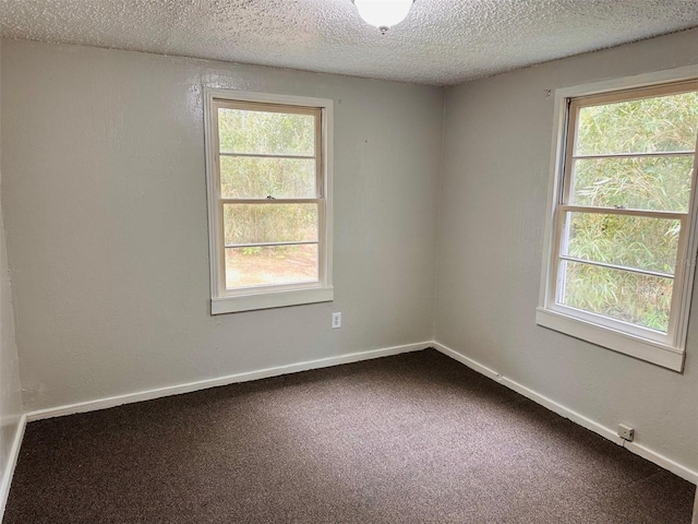 carpeted spare room with a textured ceiling and a healthy amount of sunlight