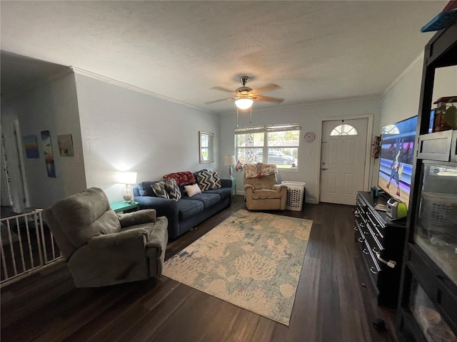 living room featuring dark hardwood / wood-style flooring, ceiling fan, a textured ceiling, and ornamental molding