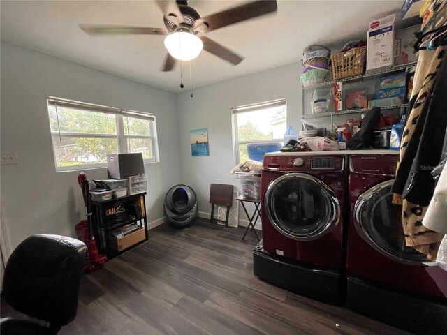 clothes washing area with washing machine and dryer, ceiling fan, and wood-type flooring