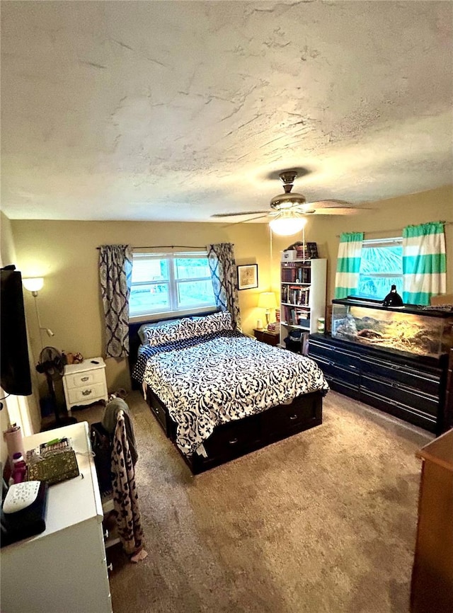 25145 NW 5th Ave, Newberry, FL 32669 - photo 24