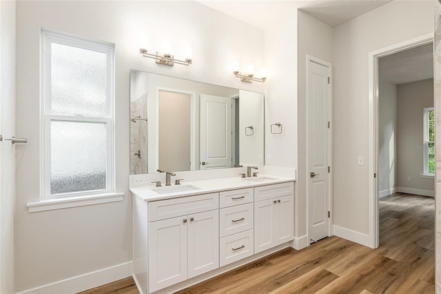 1023 NW 132nd Blvd, Newberry, FL 32669 - full bathroom with tiled shower, wood finished floors, baseboards, and double vanity