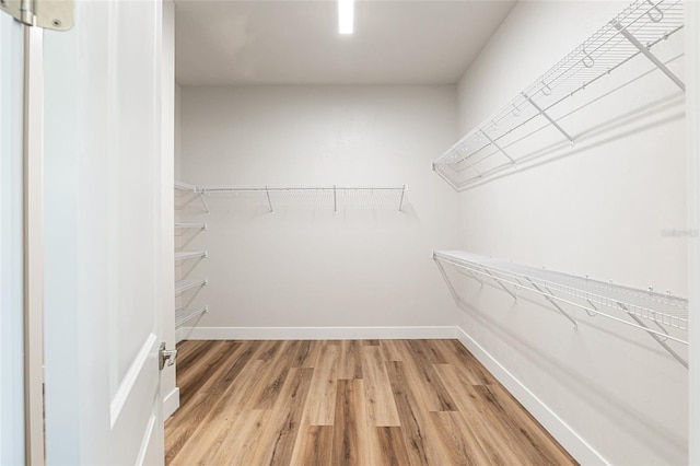 walk in closet with wood-type flooring