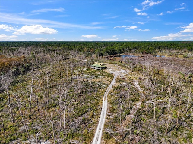 7550 SW 127th Ct, Cedar Key, FL 32625 - bird's eye view of a forest and a large body of water