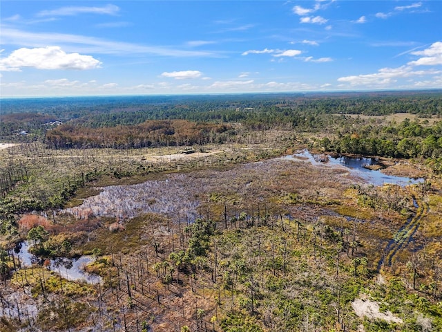 7550 SW 127th Ct, Cedar Key, FL 32625 - bird's eye view of a forest and a large body of water