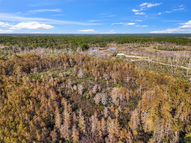 7550 SW 127th Ct, Cedar Key, FL 32625 - aerial view of property's location with a forest