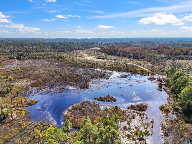 7550 SW 127th Ct, Cedar Key, FL 32625 - aerial view of a forest