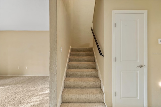 staircase with carpet floors