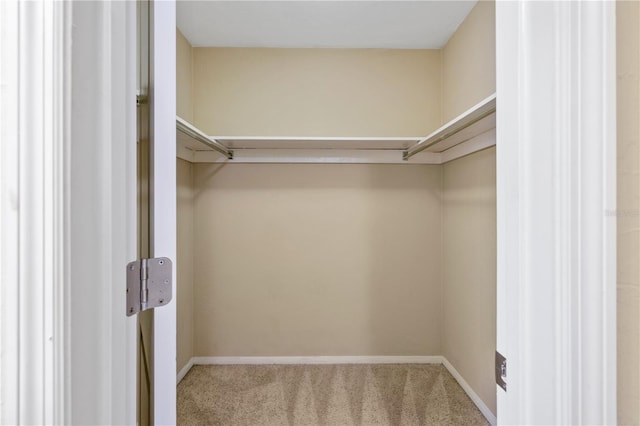 walk in closet with carpet