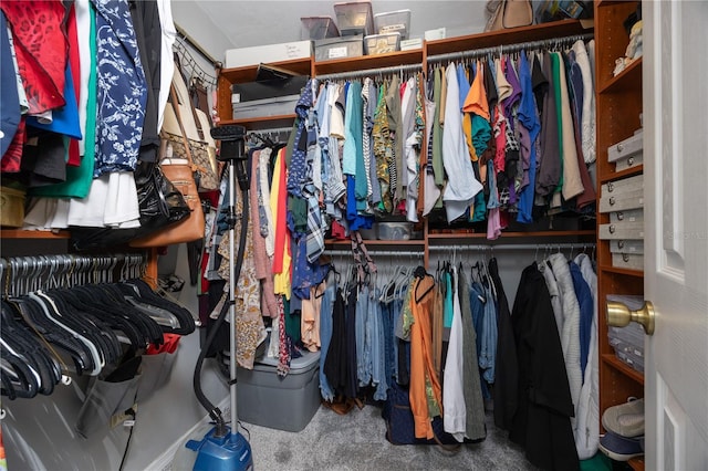 walk in closet featuring carpet flooring