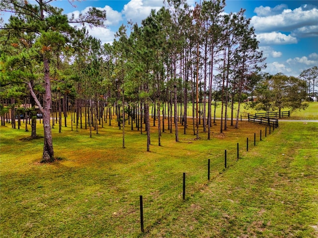 view of yard featuring a rural view