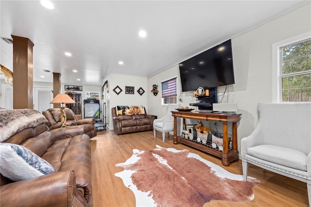 living room with crown molding and wood-type flooring