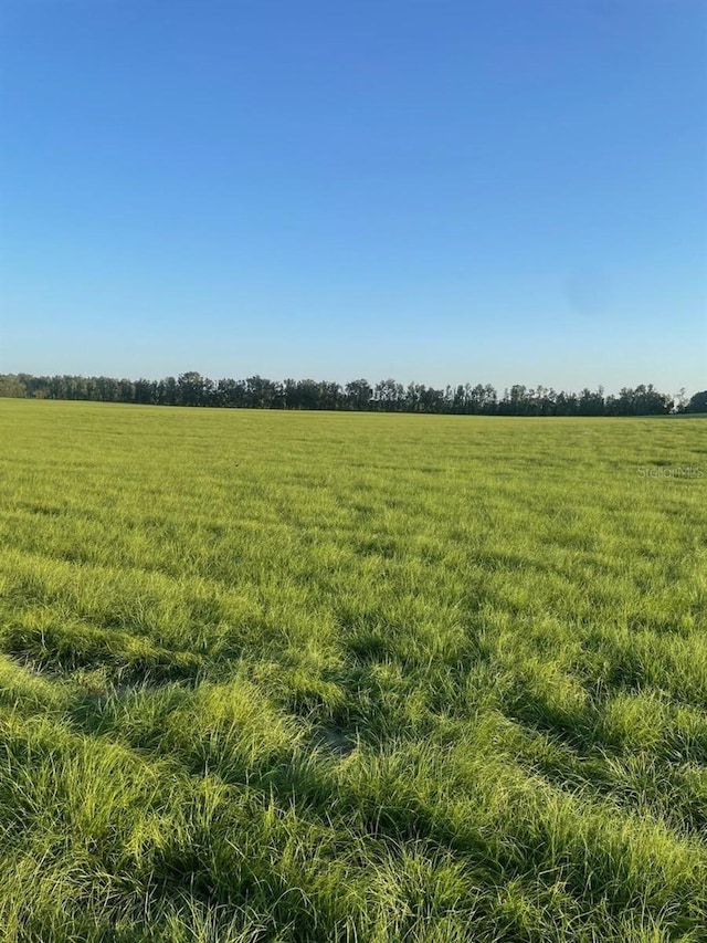 LOT2 NW 72nd Pl, Bell, FL 32619