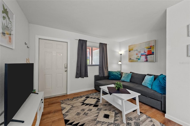 living room featuring light hardwood / wood-style flooring