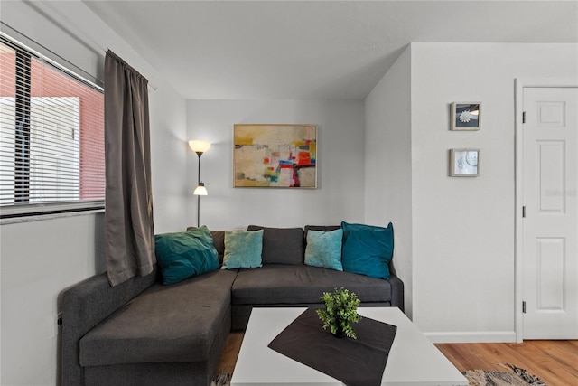 living room with wood-type flooring