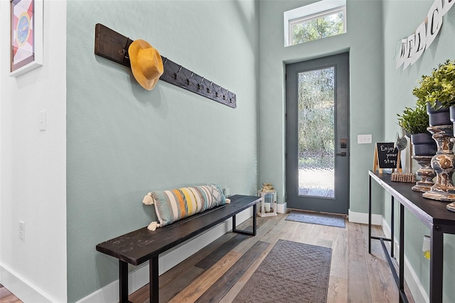 entryway with wood-type flooring and a wealth of natural light