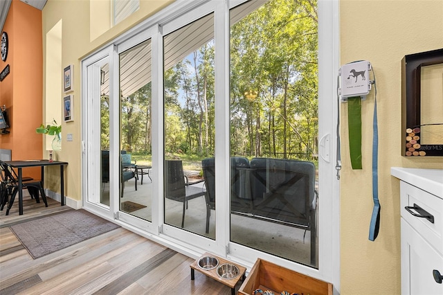 doorway with light hardwood / wood-style flooring