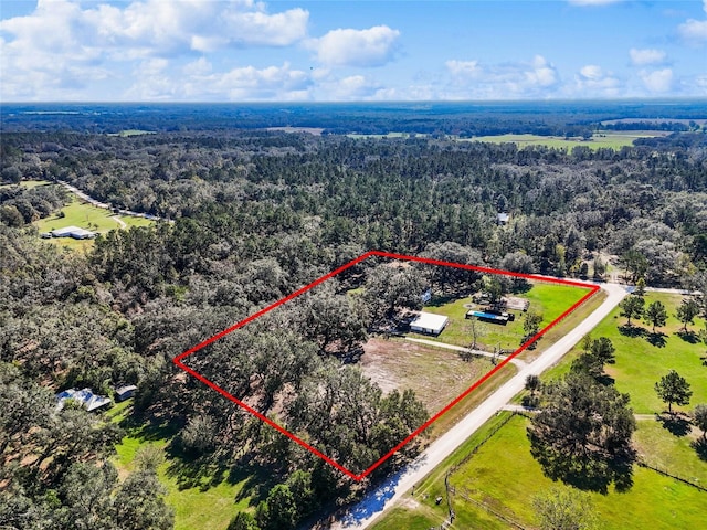 12301 158th Ter, Mc Alpin, FL 32062 - photo 32