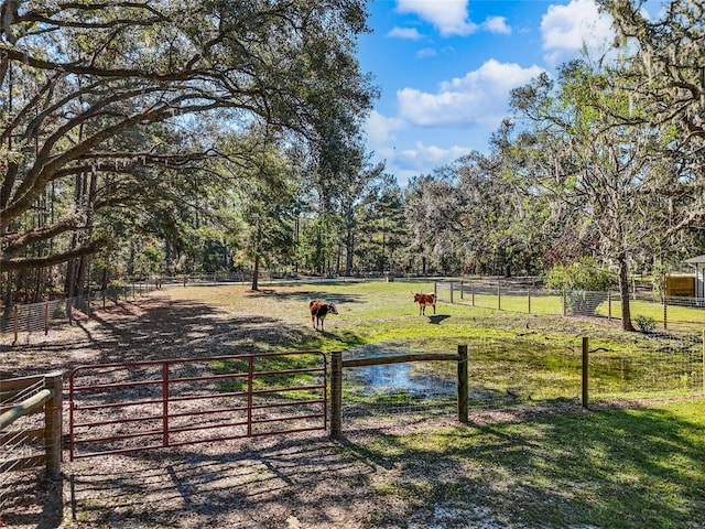 view of community featuring a rural view