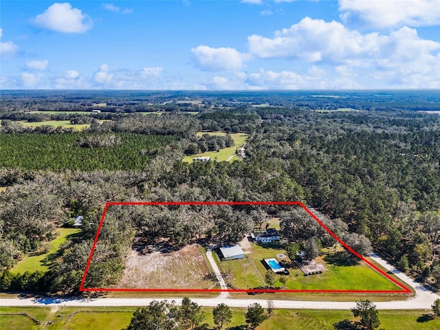 12301 158th Ter, Mc Alpin, FL 32062 - photo 50
