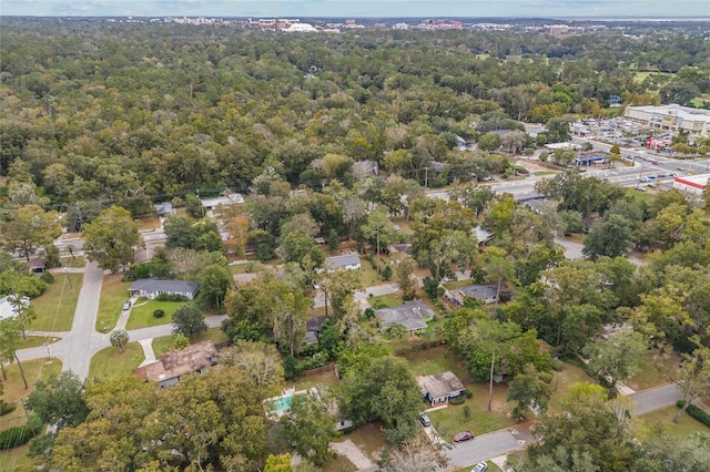 bird's eye view