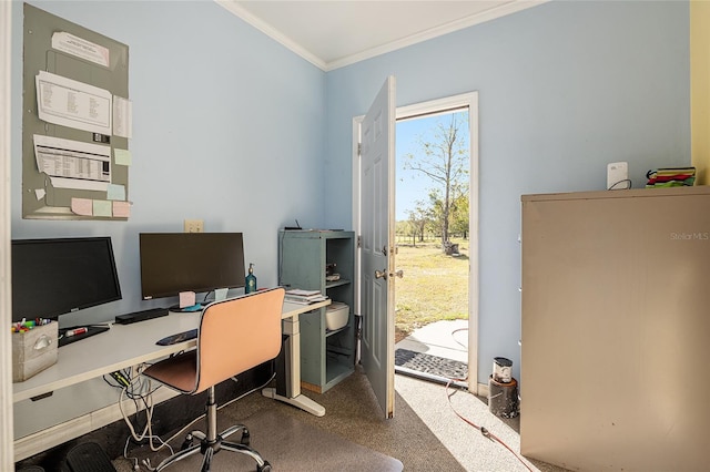 office space featuring ornamental molding