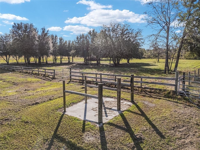 view of yard featuring a rural view