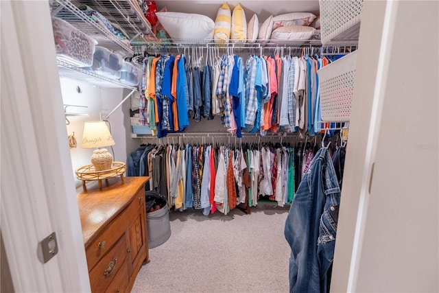 spacious closet with carpet flooring