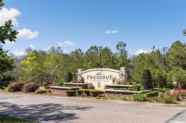 151 SW Silver Palm Dr, Lake City, FL 32024 - photo 26