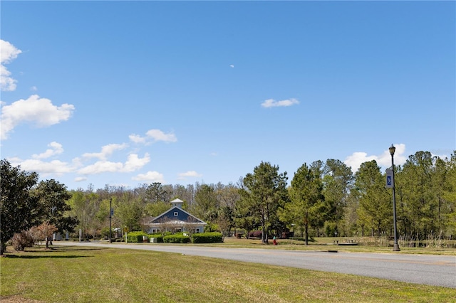 151 SW Silver Palm Dr, Lake City, FL 32024 - photo 31