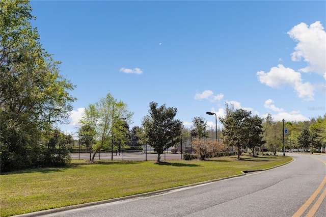 151 SW Silver Palm Dr, Lake City, FL 32024 - photo 33
