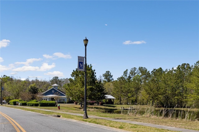 151 SW Silver Palm Dr, Lake City, FL 32024 - photo 34
